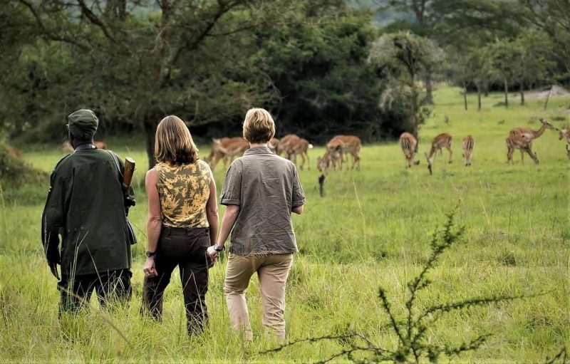 Tourists on a walking safari in Lake Mburo Park - Final Safari Moments in Lake Mburo, Uganda Safari on Day 16