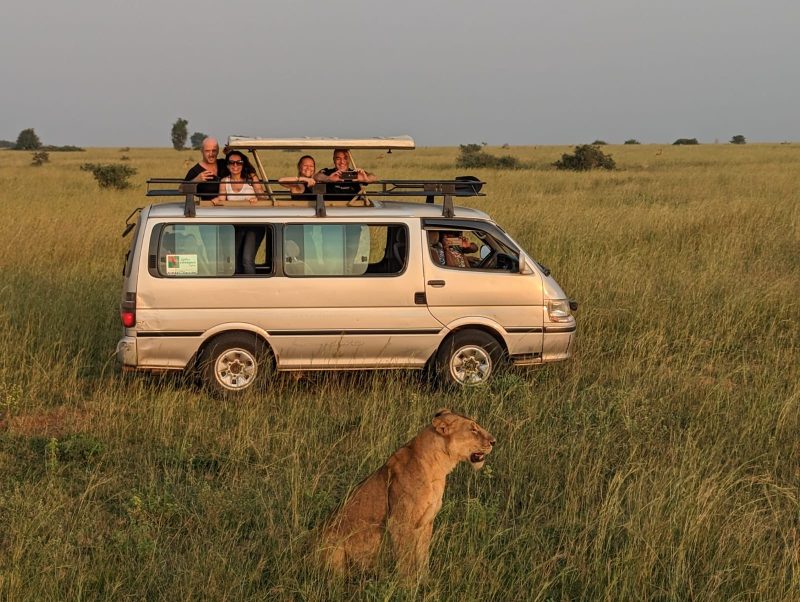 Travelers embark on a thrilling game drive aboard a safari truck during their 2-Day Murchison Falls Park Safari in Uganda.