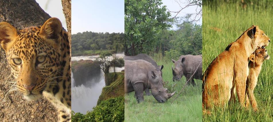 3-Day Murchison Falls Park Wildlife Safari in Uganda.