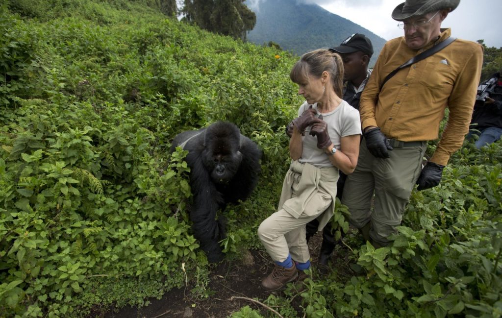 Trekkers preparing with essential gear for the Gorilla Trekking adventure.