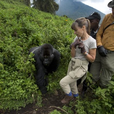Tourists Gorilla Trekking in Uganda's Bwindi Forest