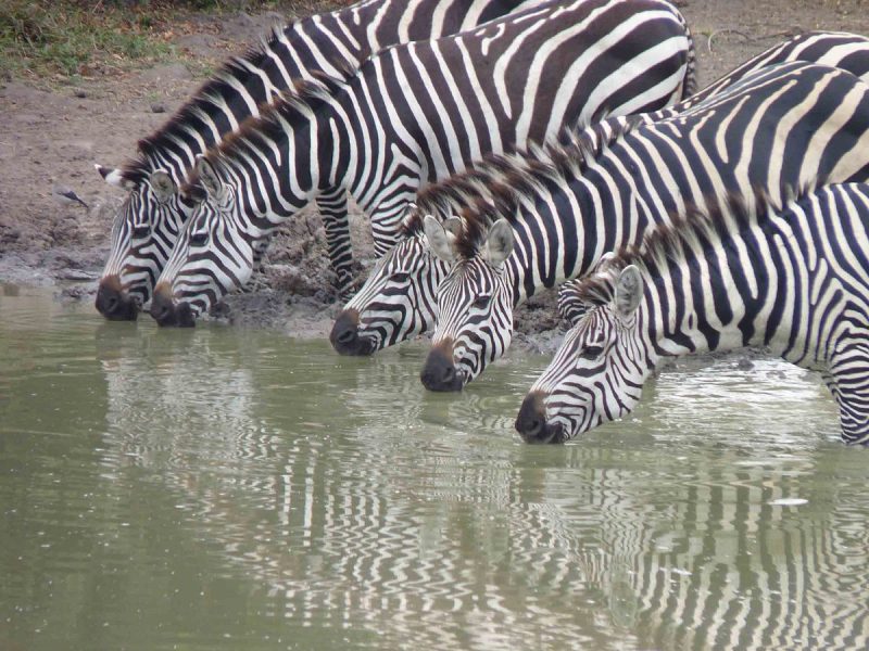 Sun reflecting off the serene waters of Lake Mburo on a Short Safari from Kampala