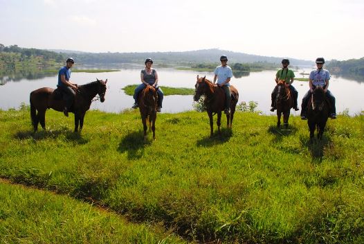 Horseback riding along the Nile in Jinja