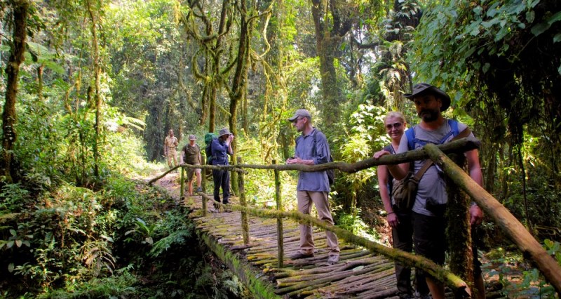 Nature walk trail in Mgahinga Gorilla Park