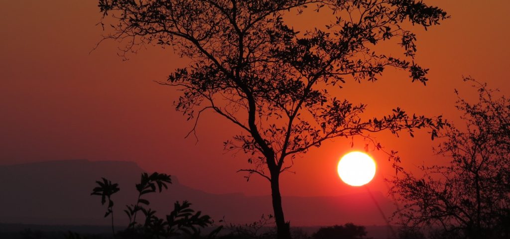 Diverse Attractions in Uganda