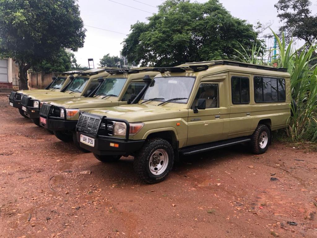 Wildlife Viewing from 6-Seater Land Cruiser in Uganda