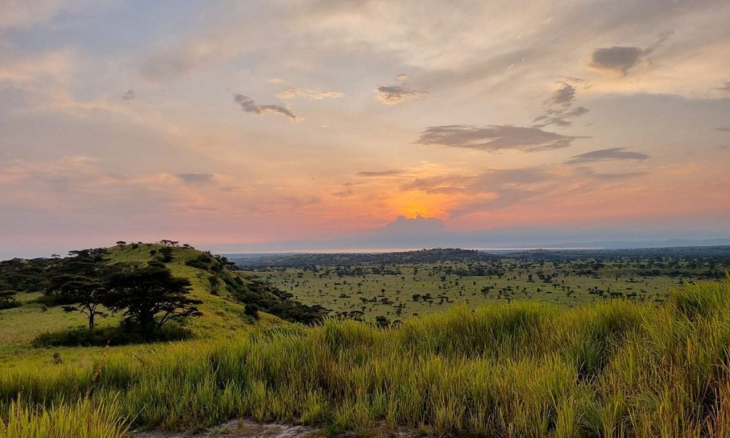 Panoramic View of Lake Mburo National Park